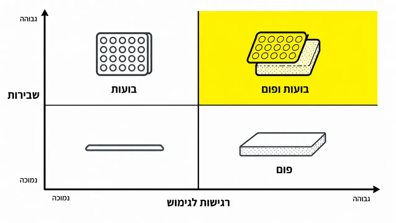 מטריצת שבירות מול רגישות לגימוש